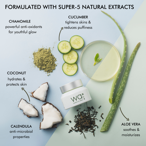 Green Tea (まっちゃ) Face Cream | Hydrates & Rejuvenates