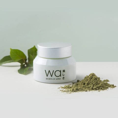 Green Tea (まっちゃ) Face Cream | Hydrates & Rejuvenates